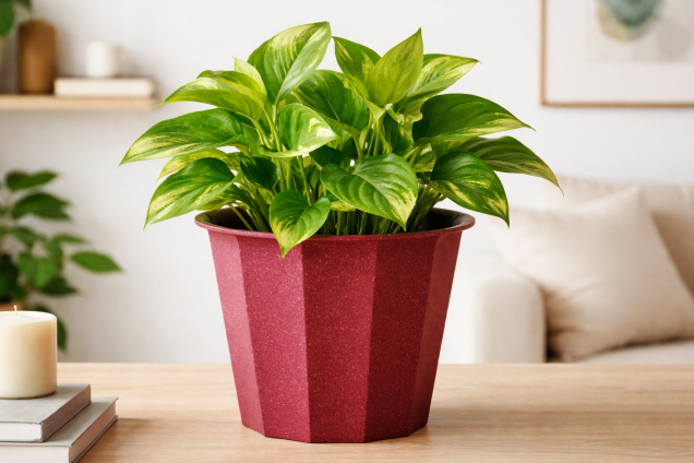 The Facet Plastic Pot: Red